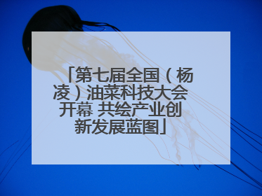 第七届全国（杨凌）油菜科技大会开幕 共绘产业创新发展蓝图