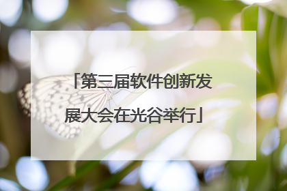 第三届软件创新发展大会在光谷举行
