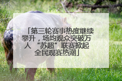 第三轮赛事热度继续攀升，场均观众突破万人 “苏超”联赛掀起全民观赛热潮