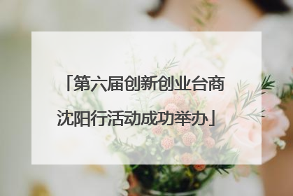 第六届创新创业台商沈阳行活动成功举办