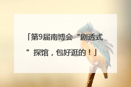 第9届南博会“剧透式”探馆，包好逛的！
