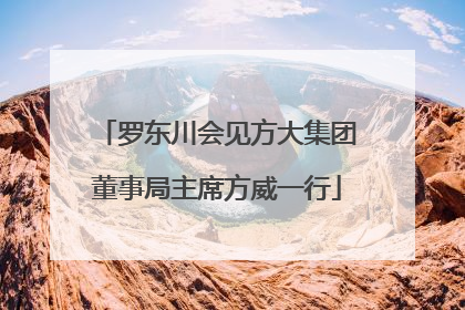 罗东川会见方大集团董事局主席方威一行