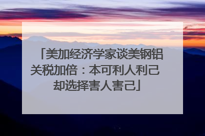美加经济学家谈美钢铝关税加倍：本可利人利己 却选择害人害己