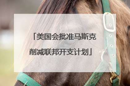 美国会批准马斯克削减联邦开支计划