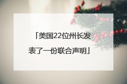 美国22位州长发表了一份联合声明