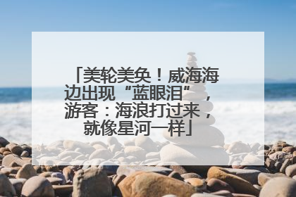 美轮美奂！威海海边出现“蓝眼泪”，游客：海浪打过来，就像星河一样