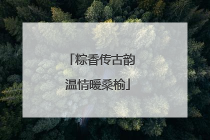 粽香传古韵 温情暖桑榆