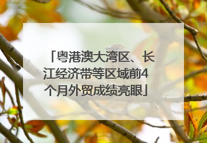 粤港澳大湾区、长江经济带等区域前4个月外贸成绩亮眼