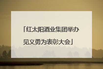 红太阳酒业集团举办见义勇为表彰大会