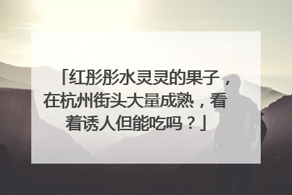 红彤彤水灵灵的果子，在杭州街头大量成熟，看着诱人但能吃吗？