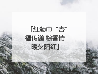 红领巾“杏”福传递 粽香情暖夕阳红