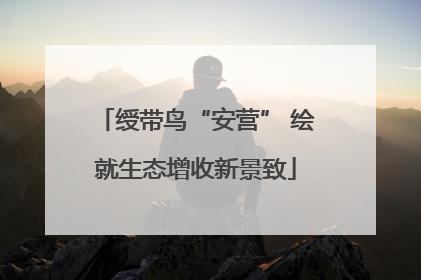 绶带鸟“安营” 绘就生态增收新景致