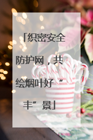 织密安全防护网，共绘烟叶好“丰”景