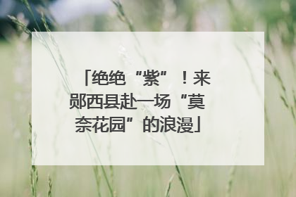 绝绝“紫”！来郧西县赴一场“莫奈花园”的浪漫