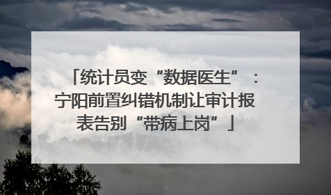 统计员变“数据医生”：宁阳前置纠错机制让审计报表告别“带病上岗”