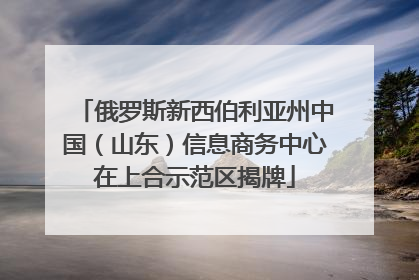 俄罗斯新西伯利亚州中国（山东）信息商务中心在上合示范区揭牌