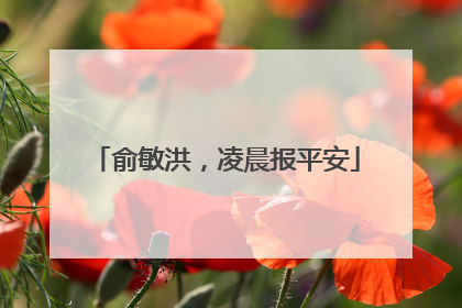 俞敏洪，凌晨报平安