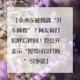 余承东被偶遇“开车睡着”？网友称打招呼后秒回！曾公开表示“智驾可以打盹”引争议