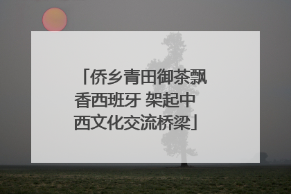 侨乡青田御茶飘香西班牙 架起中西文化交流桥梁