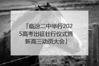 临汾二中举行2025高考出征壮行仪式暨新高三动员大会
