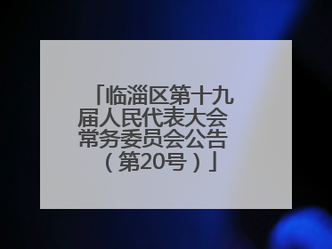 临淄区第十九届人民代表大会常务委员会公告（第20号）