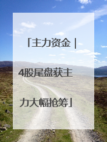 主力资金｜4股尾盘获主力大幅抢筹