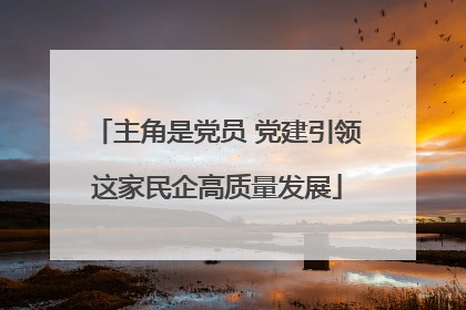 主角是党员 党建引领这家民企高质量发展