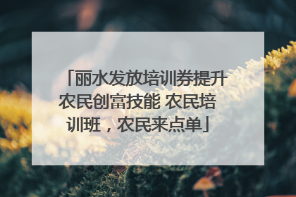 丽水发放培训券提升农民创富技能 农民培训班，农民来点单