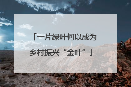 一片绿叶何以成为乡村振兴“金叶”