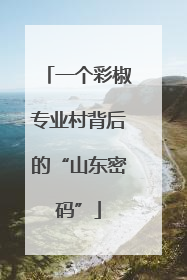 一个彩椒专业村背后的“山东密码”