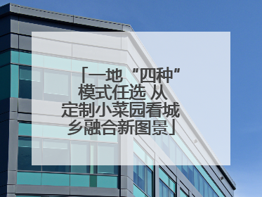 一地“四种” 模式任选 从定制小菜园看城乡融合新图景