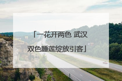 一花开两色 武汉双色睡莲绽放引客