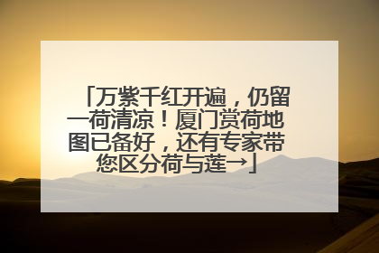 万紫千红开遍，仍留一荷清凉！厦门赏荷地图已备好，还有专家带您区分荷与莲→