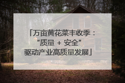 万亩黄花菜丰收季：“质量 + 安全” 驱动产业高质量发展