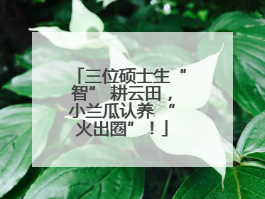 三位硕士生“智” 耕云田，小兰瓜认养 “火出圈”！