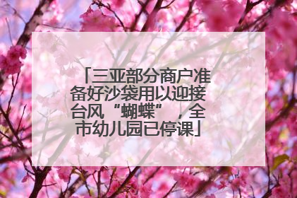 三亚部分商户准备好沙袋用以迎接台风“蝴蝶”，全市幼儿园已停课