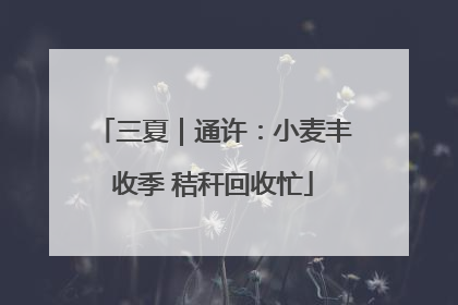 三夏｜通许：小麦丰收季 秸秆回收忙
