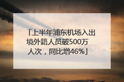 上半年浦东机场入出境外籍人员破500万人次，同比增46%