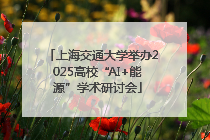 上海交通大学举办2025高校“AI+能源”学术研讨会