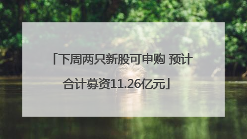下周两只新股可申购 预计合计募资11.26亿元