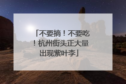 不要摘！不要吃！杭州街头正大量出现紫叶李