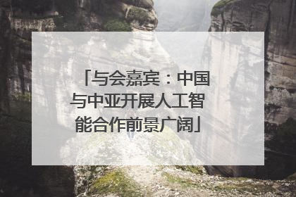 与会嘉宾：中国与中亚开展人工智能合作前景广阔