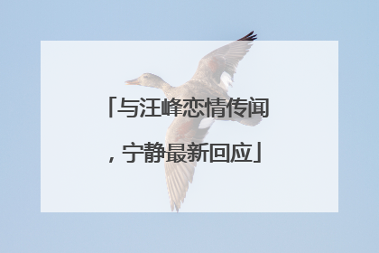 与汪峰恋情传闻，宁静最新回应