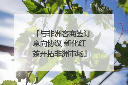 与非洲客商签订意向协议 新化红茶开拓非洲市场