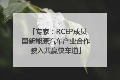 专家：RCEP成员国新能源汽车产业合作驶入共赢快车道