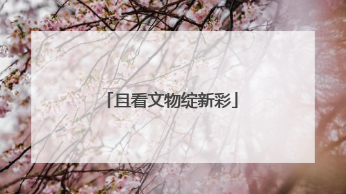 且看文物绽新彩