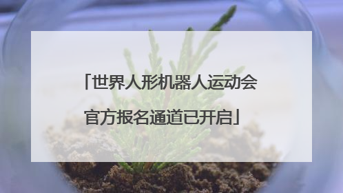 世界人形机器人运动会官方报名通道已开启