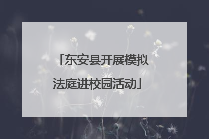 东安县开展模拟法庭进校园活动