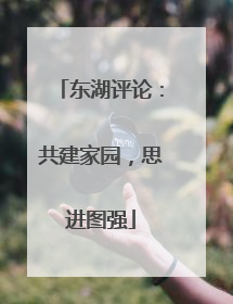 东湖评论：共建家园，思进图强