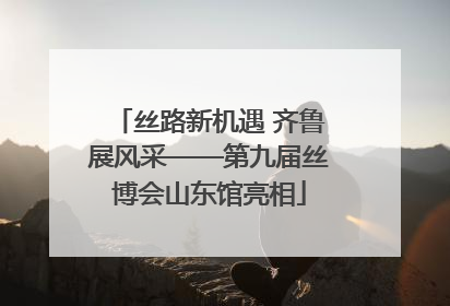 丝路新机遇 齐鲁展风采——第九届丝博会山东馆亮相